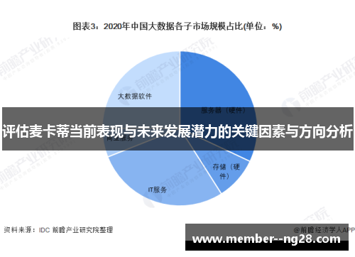 评估麦卡蒂当前表现与未来发展潜力的关键因素与方向分析