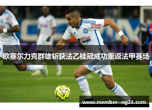 欧塞尔力克群雄斩获法乙桂冠成功重返法甲赛场