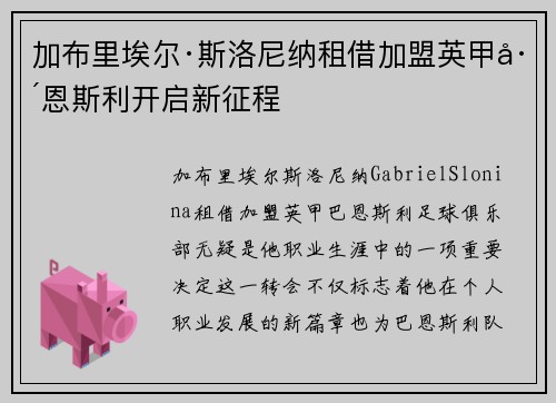 加布里埃尔·斯洛尼纳租借加盟英甲巴恩斯利开启新征程